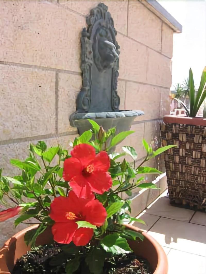 Hotel Garden Viareggio Luaran gambar
