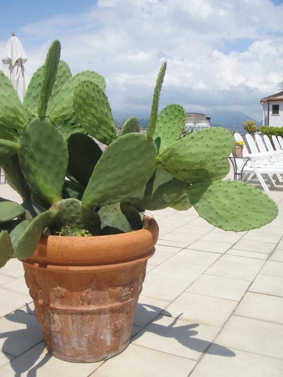 Hotel Garden Viareggio Luaran gambar